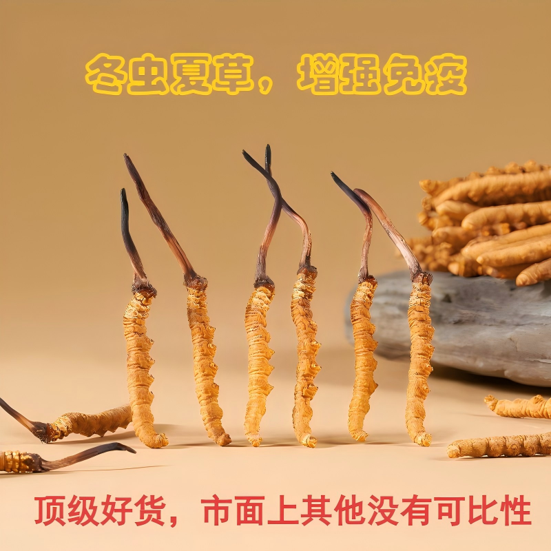 冬虫夏草